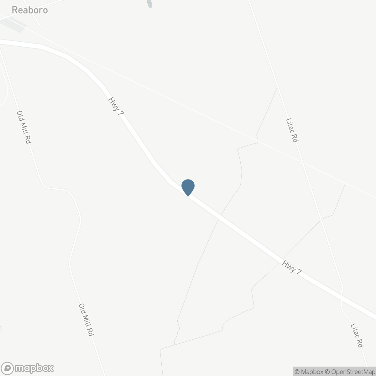 3313 HWY 7 HIGHWAY, Kawartha Lakes, Ontario K0L 2W0